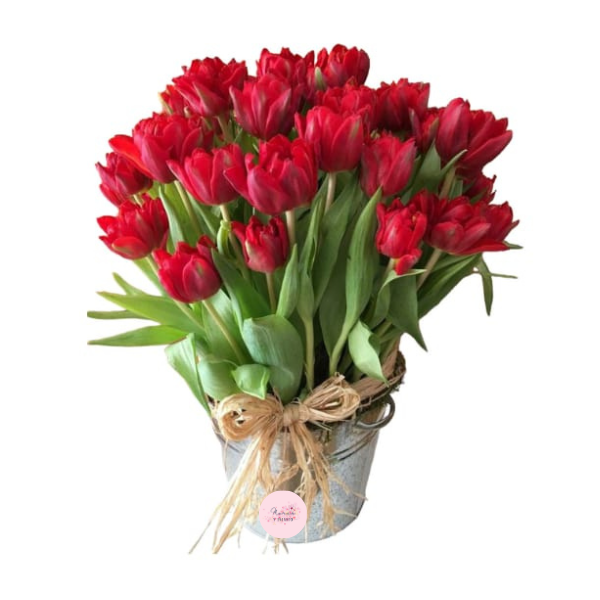 Amor en tulipanes