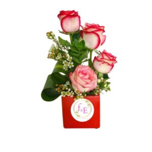 Delicadeza en Flor.