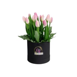 Box de tulipanes.
