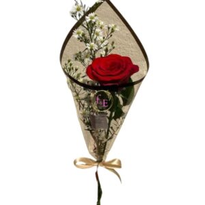 Rosa individual.