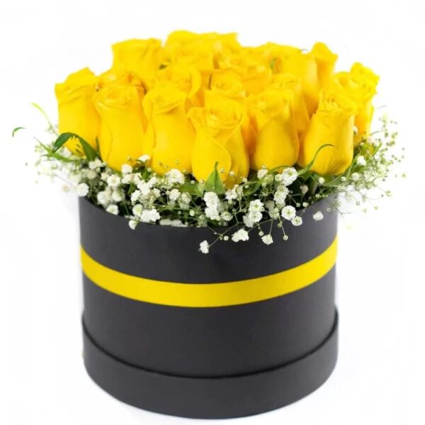 Box amarillo.