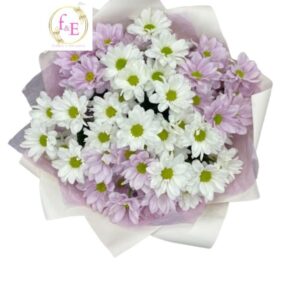 Encanto Floral de Margaritas.