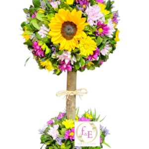 El Árbol del Sol Naciente.