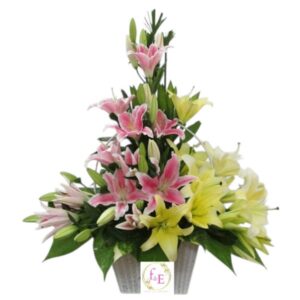 Destellos de Lilium.