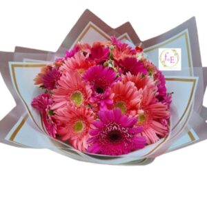 Gerberas