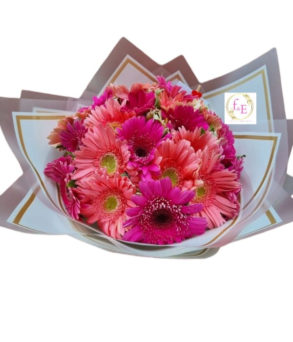 Gerberas