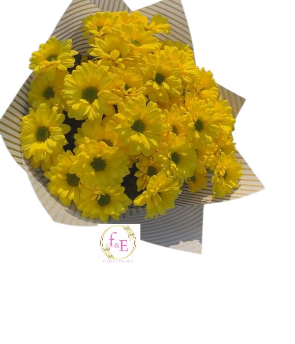 bouquet de margaritas