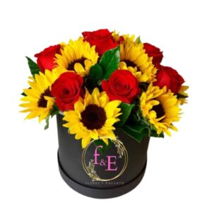 Box Circular: Pasión Dorada.