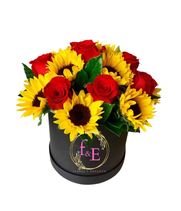 Box Circular: Pasión Dorada.