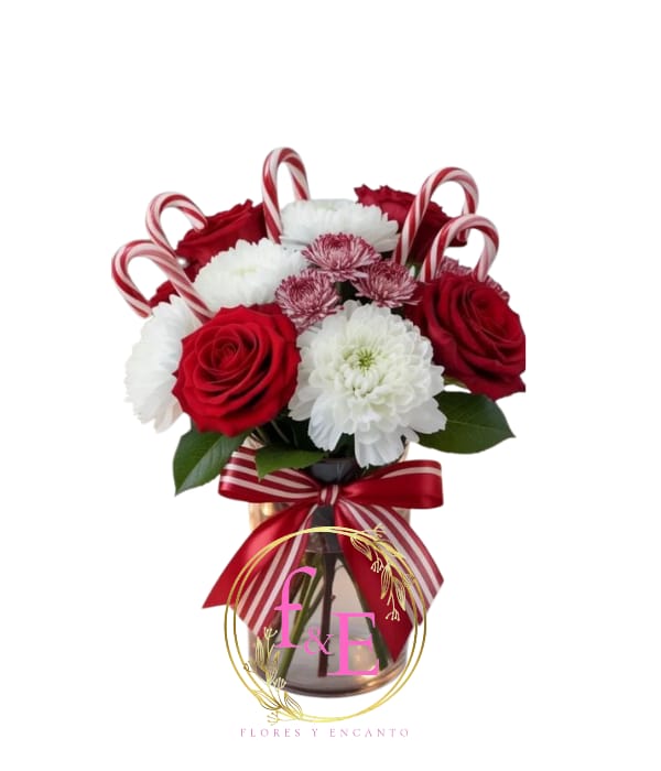 Samaritano Navidad Deluxe.