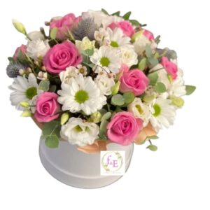 Box Elegancia en Rosado Suave.