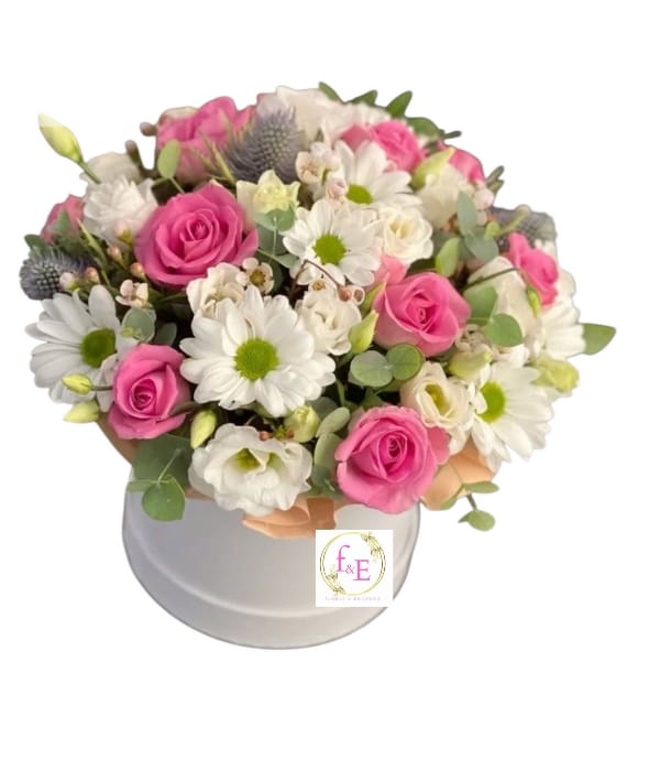 Box Elegancia en Rosado Suave.