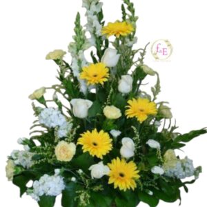 Arrimo Tributo de Paz en Colores Pastel.