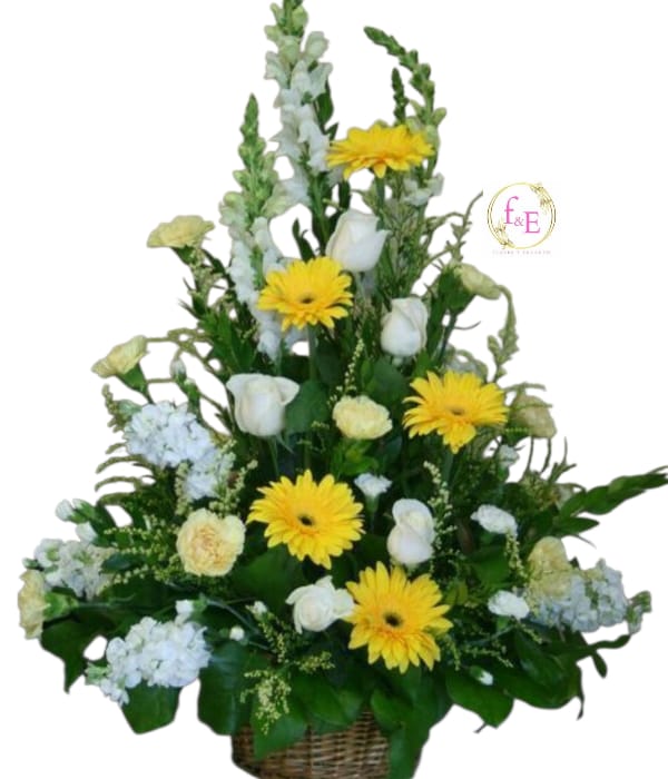 Arrimo Tributo de Paz en Colores Pastel.