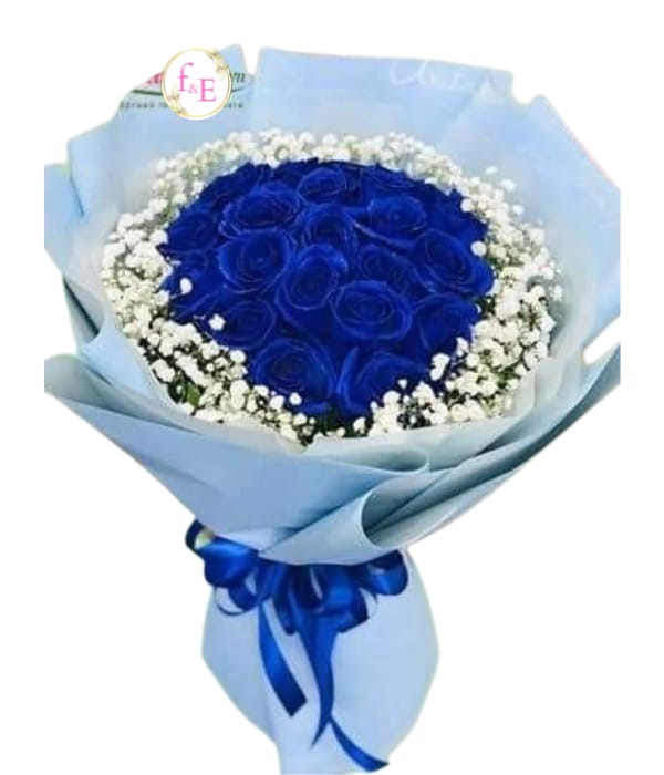 Ramo Oasis de Fantasía.