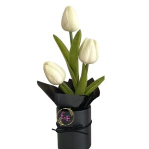 Box Pureza en Tulipanes .