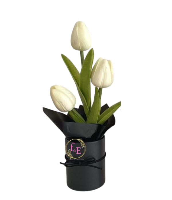 Box Pureza en Tulipanes .