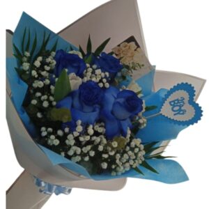 Ramo Bienvenido al Mundo.