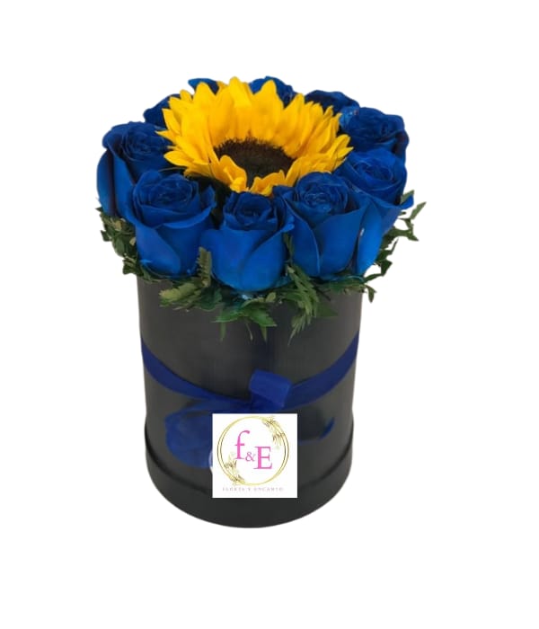 Box de Rosas Azules con Girasol Realce .