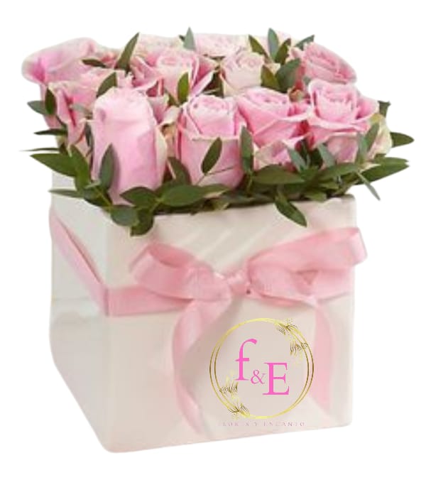 Rosas de Ensueño en Box Cuadrado.