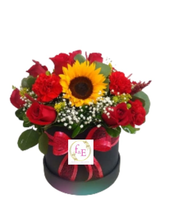 Box de Rosas Rojas y Girasol Radiante.