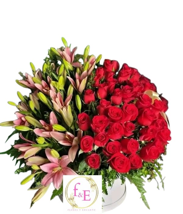 Box Circular Dualidad Perfecta.