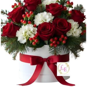 Box Navidad Escarlata.