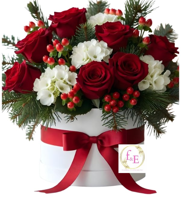 Box Navidad Escarlata.