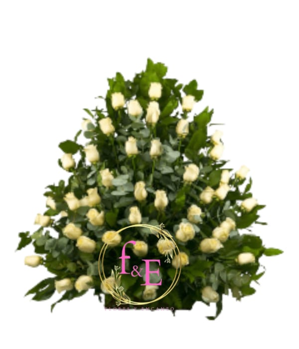 Pie de Urna: Blanca Despedida.