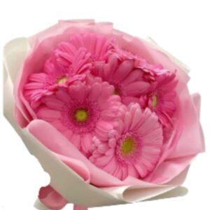 Dulce Primavera en Rosado.