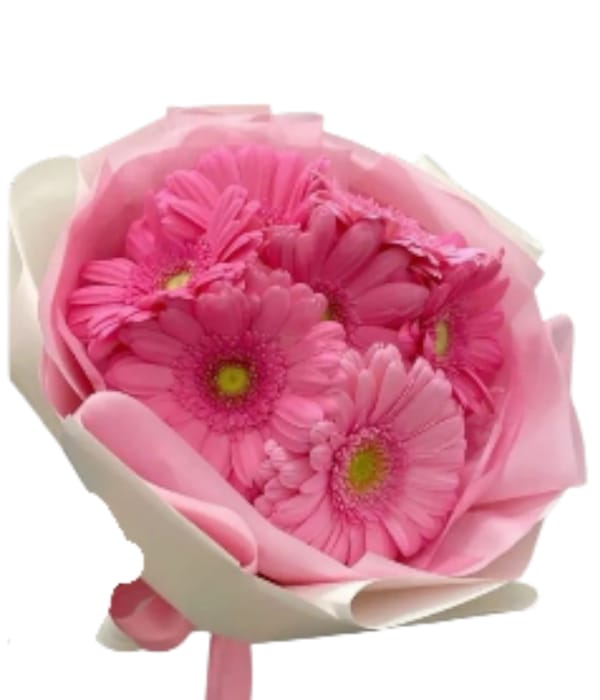 Dulce Primavera en Rosado.