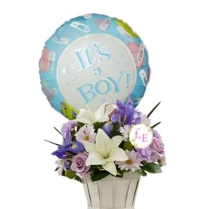 Dulce Llegada de un Niño .