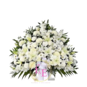 Arrimo Blanco Consuelo.