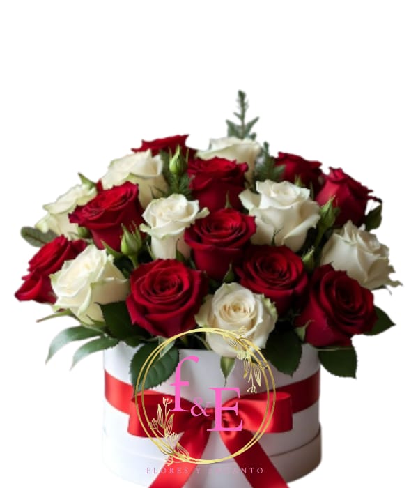 Box de Pasión y Pureza.