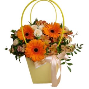 Cartera de Sol y Energía.