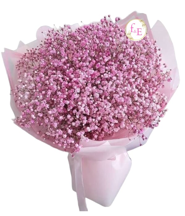 Ramo Algodón Rosado .