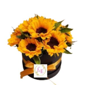 Box de Girasoles, Luz y Alegría.