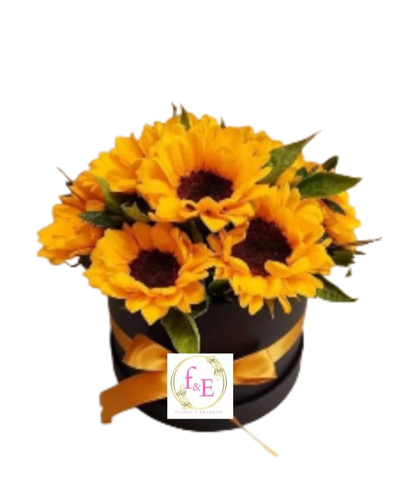 Box de Girasoles, Luz y Alegría.