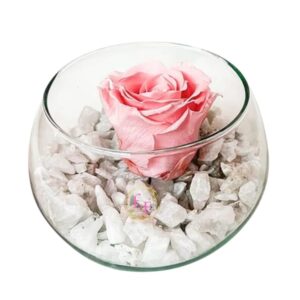 Eterna delicadeza rosada.