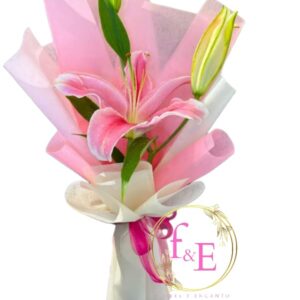 Lilium Rosado – Delicadeza en una Flor.
