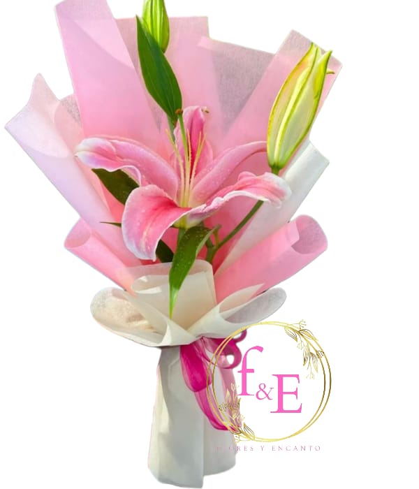 Lilium Rosado – Delicadeza en una Flor.
