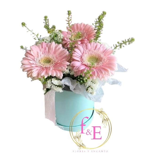 Arreglo Floral Mini Box Rosé.