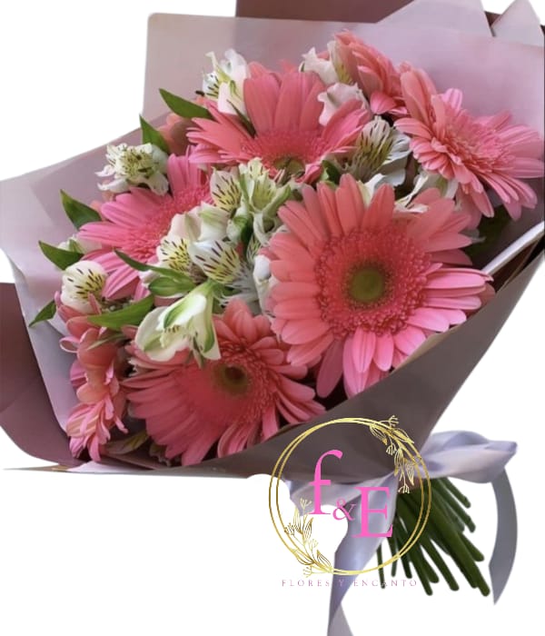 Ramo Caricias de Gerberas.