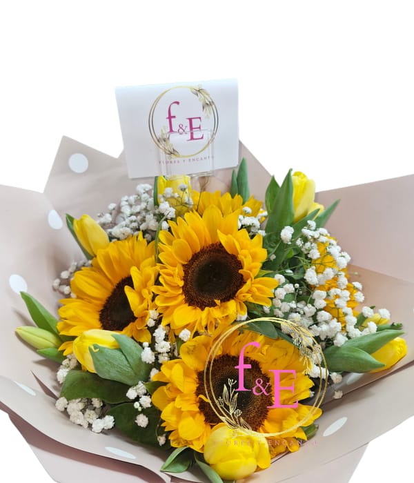 Ramo Campo Encantado.