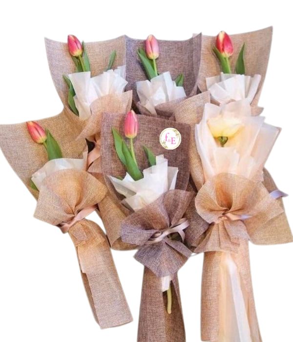 Pack Tulipanes – Oferta Limitada