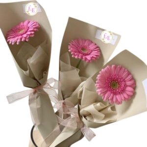 Gerberas Love Pack – Oferta Limitada.