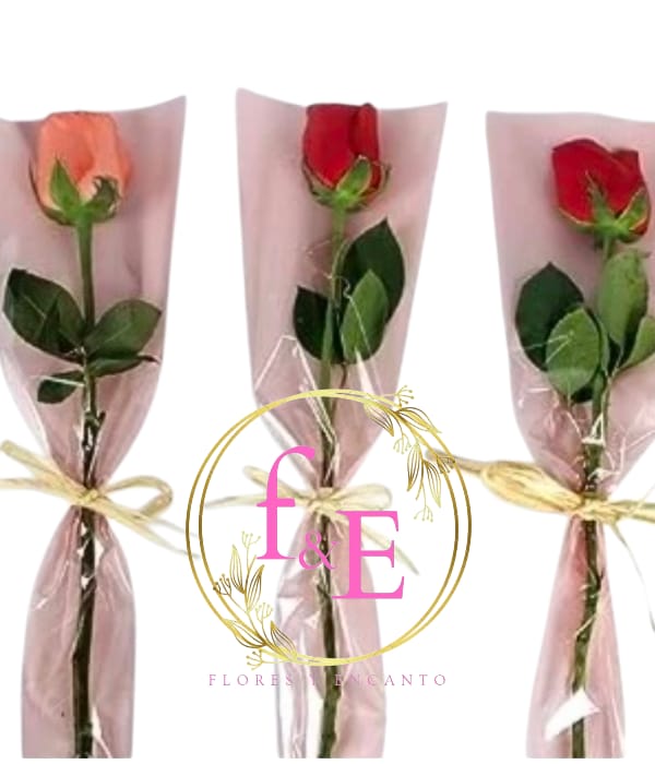 Detalle Especial para Mujeres Extraordinarias. A partir de 20 unidades.