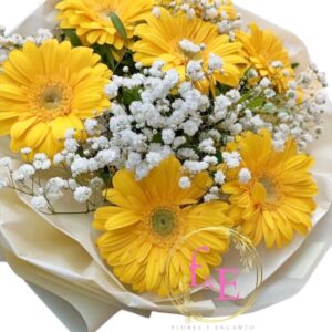 Ramo 7 Razones para Sonreír.