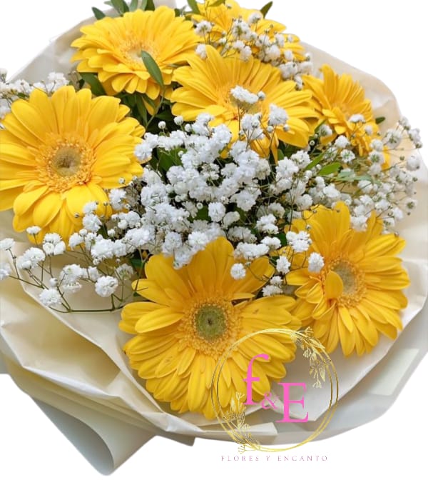 Ramo 7 Razones para Sonreír.