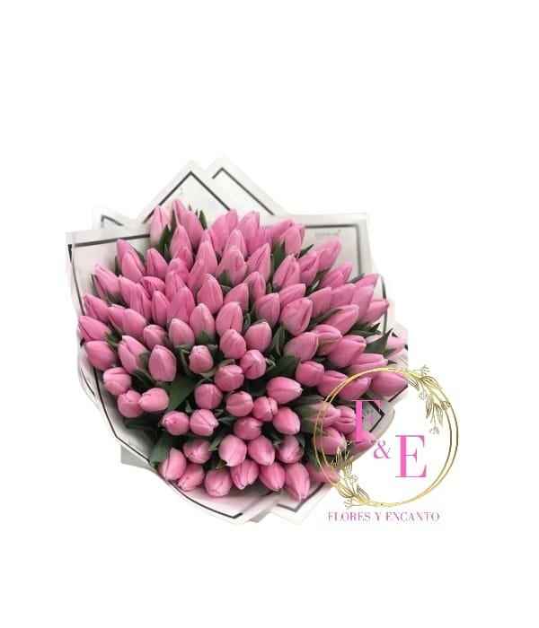 Ramo Exclusivo de 50 Tulipanes Rosados.